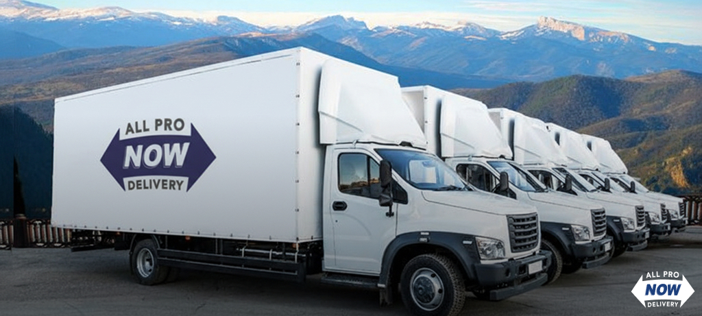 Transportation Management Software Companies - allpronow